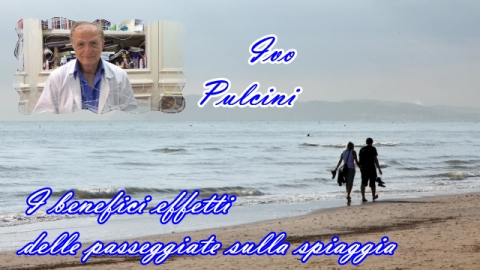 Ivo Pulcini - Le passeggiate al mare